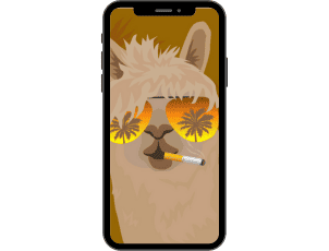 SERGIO LE LAMA FUMEUR SERGIO LE LAMA FUMEUR