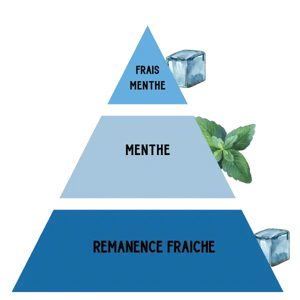 E-LIQUIDE-SENSE-MENTHE-GLACIALE-PYRAMIDE-SAVEUR E-LIQUIDE-SENSE-MENTHE-GLACIALE-PYRAMIDE-SAVEUR
